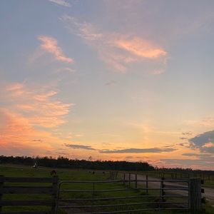 Meet your Posher, Jaxin